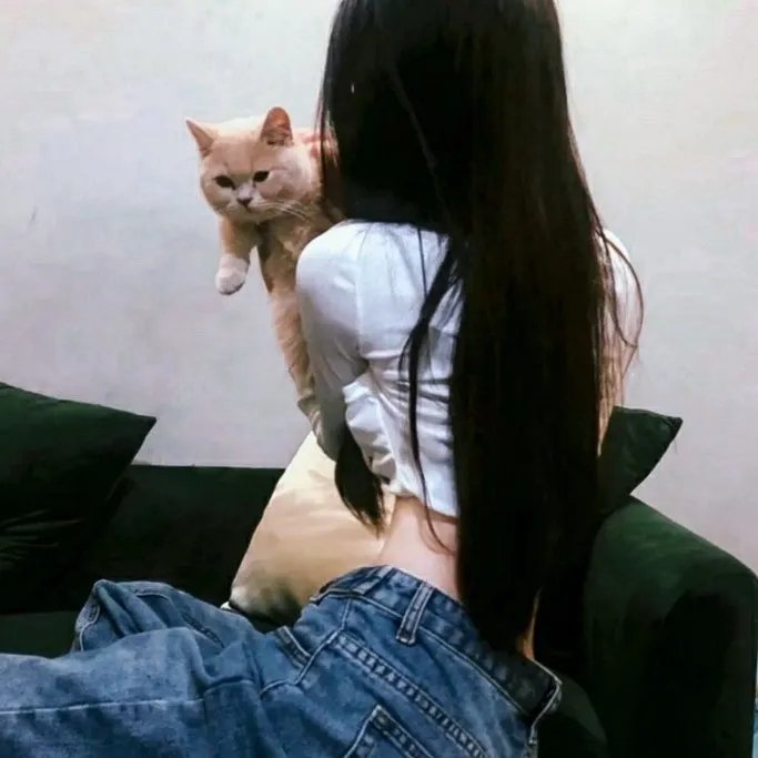 姐妹分离 高清在线观看封面