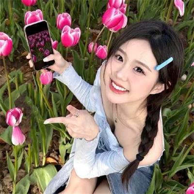 解密2024 热播榜单